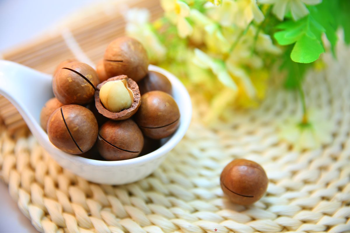 Authentic Hawaiian Macadamia Nuts