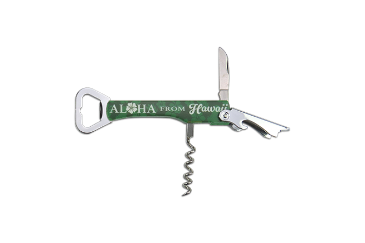 Aloha From Hawaii Opener