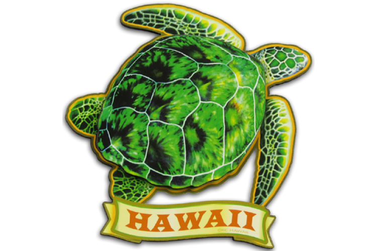 Hawaiian Honu Turtle Refrigerator Magnet - Collectible Island Art From Maui