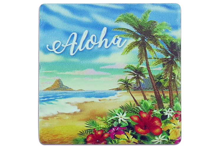 Sandstone Aloha Coastal Magnet