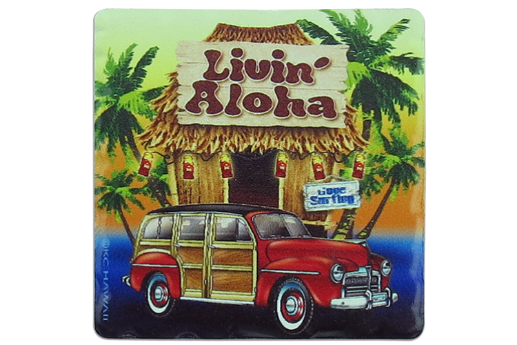 Sandstone Hawaii Hut & Woody Magnet