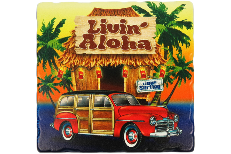 Hawaii Hut & Woody Coaster